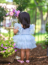 Load image into Gallery viewer, DAISY BABY BLUE TUTU DRESS