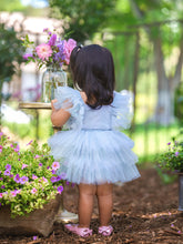 Load image into Gallery viewer, DAISY BABY BLUE TUTU DRESS
